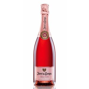 JUVE Y CAMPS BRUT ROSE