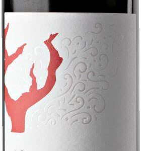 FUENTENAVARRO ROBLE