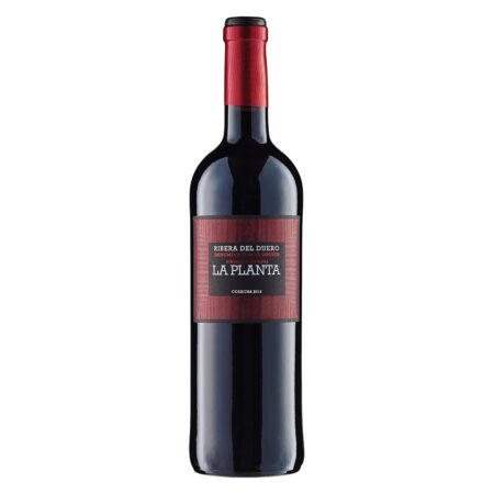LA PLANTA